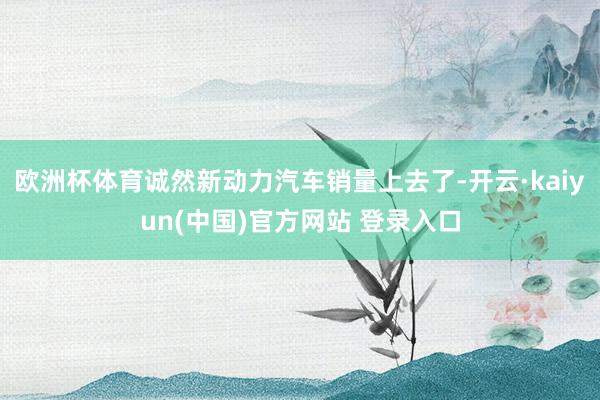 欧洲杯体育诚然新动力汽车销量上去了-开云·kaiyun(中国)官方网站 登录入口