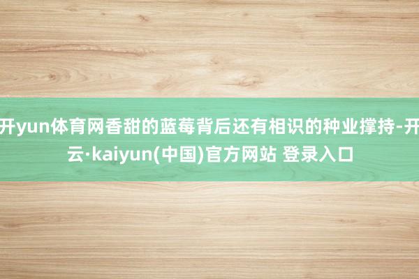 开yun体育网香甜的蓝莓背后还有相识的种业撑持-开云·kaiyun(中国)官方网站 登录入口