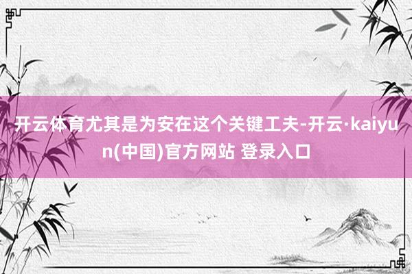 开云体育尤其是为安在这个关键工夫-开云·kaiyun(中国)官方网站 登录入口