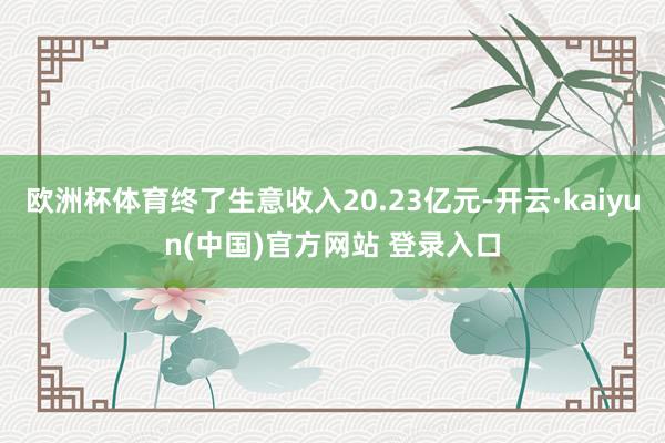 欧洲杯体育终了生意收入20.23亿元-开云·kaiyun(中国)官方网站 登录入口
