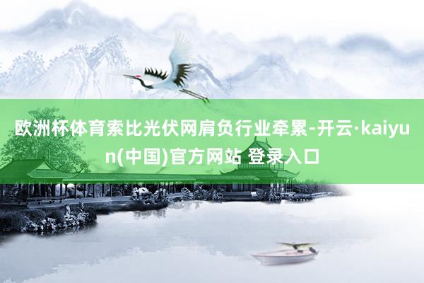 欧洲杯体育索比光伏网肩负行业牵累-开云·kaiyun(中国)官方网站 登录入口