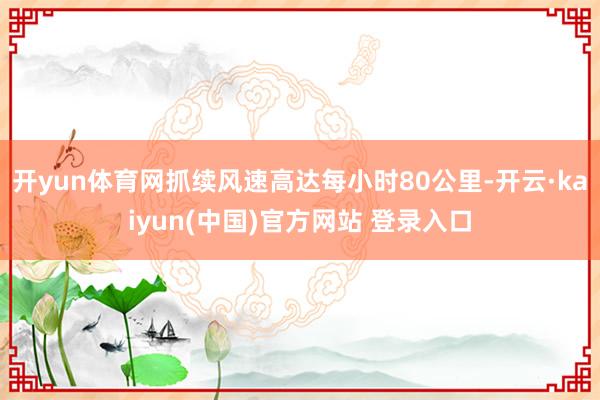 开yun体育网抓续风速高达每小时80公里-开云·kaiyun(中国)官方网站 登录入口
