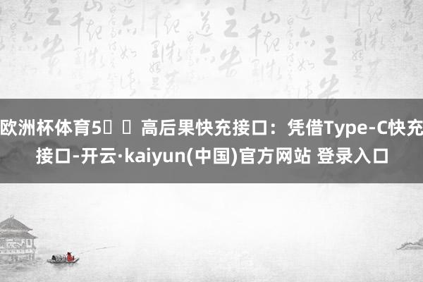欧洲杯体育5️⃣高后果快充接口：凭借Type-C快充接口-开云·kaiyun(中国)官方网站 登录入口