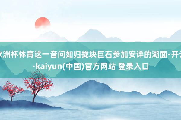 欧洲杯体育这一音问如归拢块巨石参加安详的湖面-开云·kaiyun(中国)官方网站 登录入口