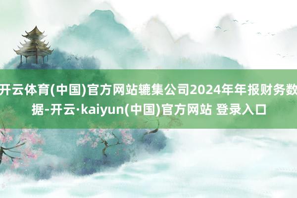 开云体育(中国)官方网站辘集公司2024年年报财务数据-开云·kaiyun(中国)官方网站 登录入口