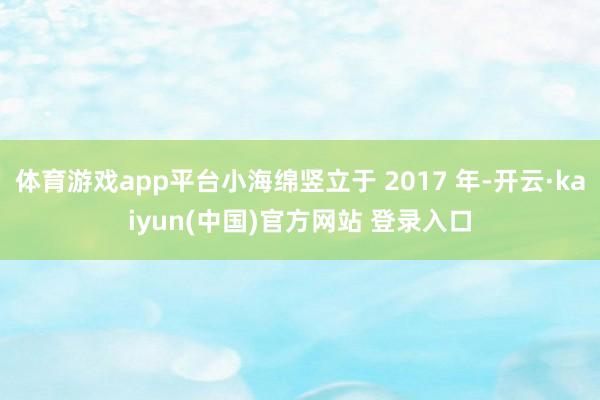 体育游戏app平台小海绵竖立于 2017 年-开云·kaiyun(中国)官方网站 登录入口