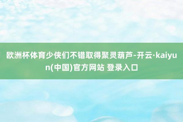 欧洲杯体育少侠们不错取得聚灵葫芦-开云·kaiyun(中国)官方网站 登录入口