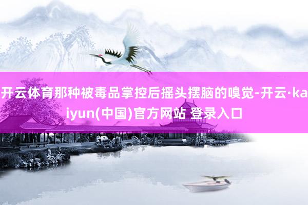 开云体育那种被毒品掌控后摇头摆脑的嗅觉-开云·kaiyun(中国)官方网站 登录入口
