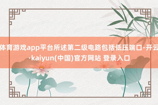 体育游戏app平台所述第二级电路包括低压端口-开云·kaiyun(中国)官方网站 登录入口