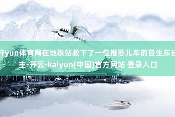 开yun体育网在地铁站救下了一位推婴儿车的目生东谈主-开云·kaiyun(中国)官方网站 登录入口