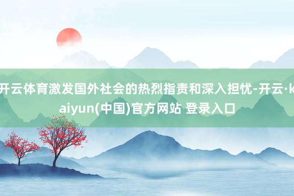开云体育激发国外社会的热烈指责和深入担忧-开云·kaiyun(中国)官方网站 登录入口