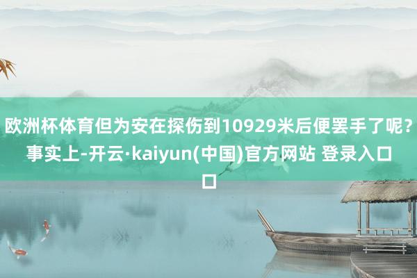 欧洲杯体育但为安在探伤到10929米后便罢手了呢？事实上-开云·kaiyun(中国)官方网站 登录入口