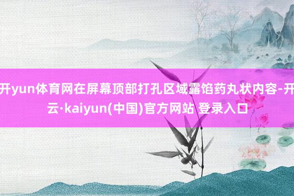 开yun体育网在屏幕顶部打孔区域露馅药丸状内容-开云·kaiyun(中国)官方网站 登录入口