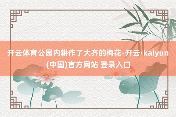 开云体育公园内耕作了大齐的梅花-开云·kaiyun(中国)官方网站 登录入口