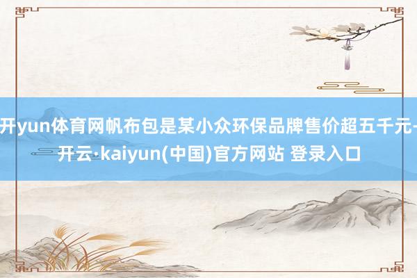开yun体育网帆布包是某小众环保品牌售价超五千元-开云·kaiyun(中国)官方网站 登录入口