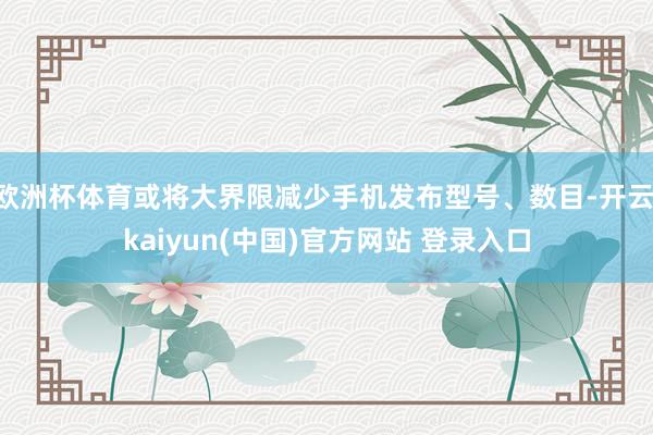 欧洲杯体育或将大界限减少手机发布型号、数目-开云·kaiyun(中国)官方网站 登录入口