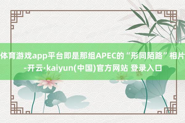 体育游戏app平台即是那组APEC的“形同陌路”相片-开云·kaiyun(中国)官方网站 登录入口