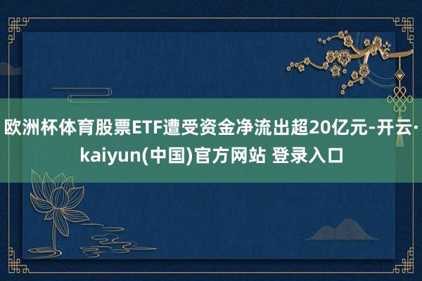 欧洲杯体育股票ETF遭受资金净流出超20亿元-开云·kaiyun(中国)官方网站 登录入口