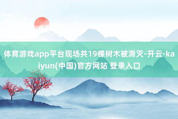 体育游戏app平台现场共19棵树木被澌灭-开云·kaiyun(中国)官方网站 登录入口