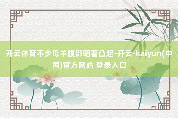 开云体育不少母羊腹部昭着凸起-开云·kaiyun(中国)官方网站 登录入口