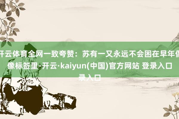 开云体育全网一致夸赞：苏有一又永远不会困在早年偶像标签里-开云·kaiyun(中国)官方网站 登录入口