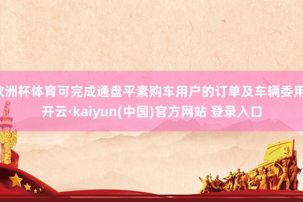 欧洲杯体育可完成通盘平素购车用户的订单及车辆委用-开云·kaiyun(中国)官方网站 登录入口
